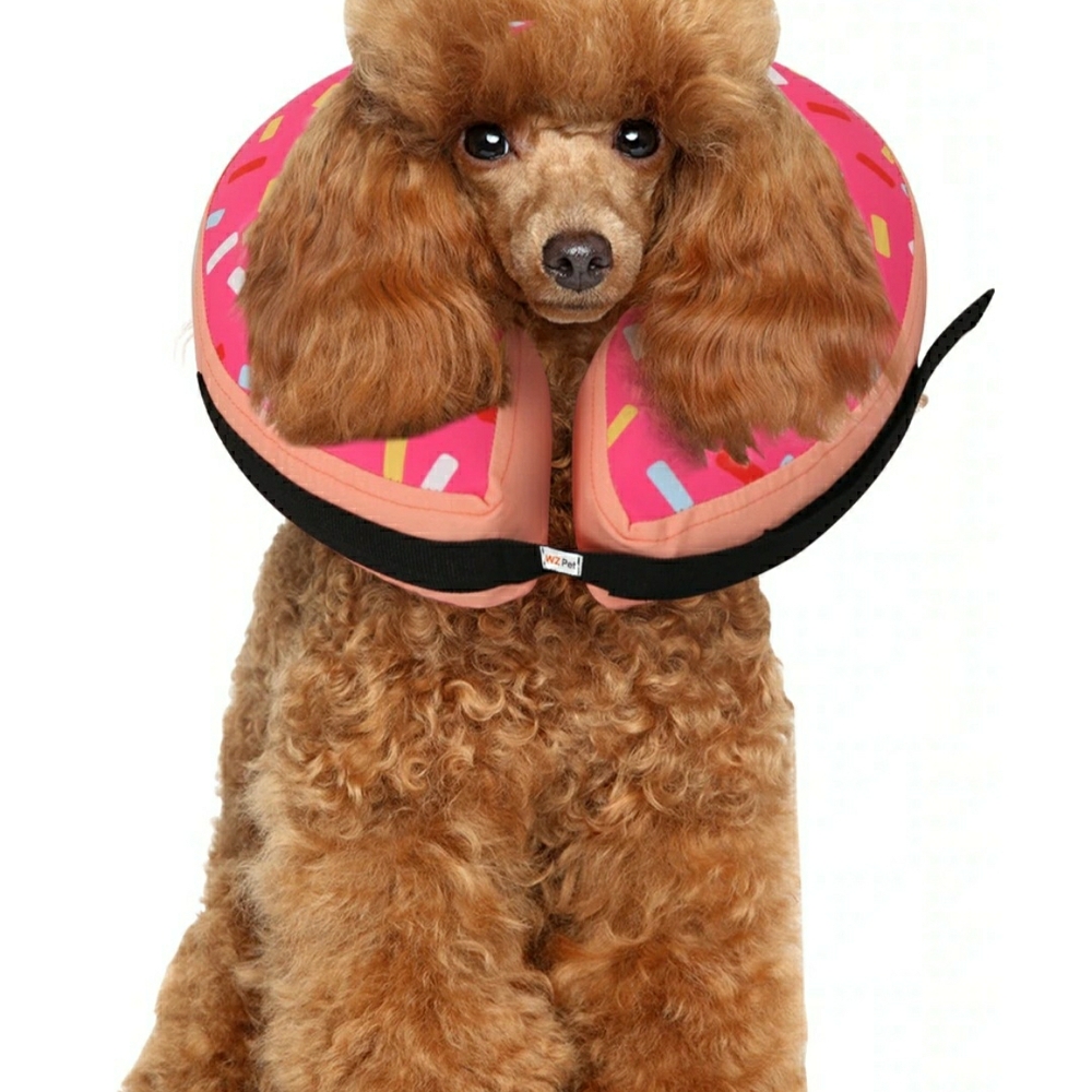 Pink Donut Inflatable Dog Recovery Collar